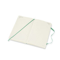 モレスキン 12カ月デイリーダイアリー アイスグリーン/ソフトカバー/ラージ DSK4612DC3Y22 1冊（直送品）