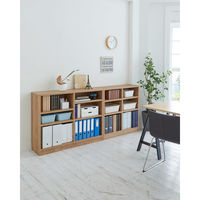 【軒先渡し】バリュテック・インターナショナル 頑丈本棚 ロータイプ 幅900×奥行300×高さ900ｍｍ ブラウン 1台（直送品）