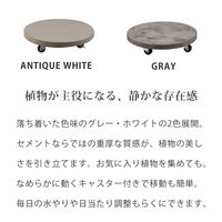 住まいスタイル セメント製キャスター付きプランターキャリー36cm TR360WHT 1個（直送品）