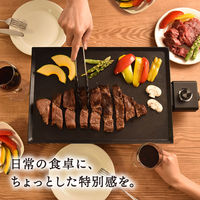 サンコー 薄型ホットプレート「Everill」"エヴリル" HPLT24HBK 1台（直送品）