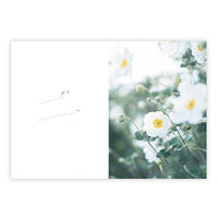 学研ステイフル メッセージブック It's always okay 応援 もなみん 空 封筒付 E10085 1セット(1冊×3)（直送品）