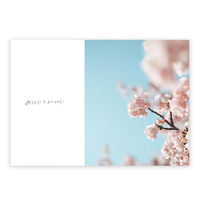 学研ステイフル メッセージブック Thank You 感謝 もなみん ソーダ 封筒付 E10084 1セット(1冊×3)（直送品）