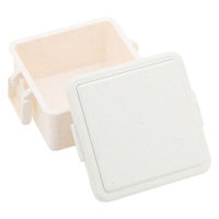 三好製作所 お弁当箱 GEL-COOL square S ジェラート 1段 220ml プレーンバニラ 423642 1個（直送品）