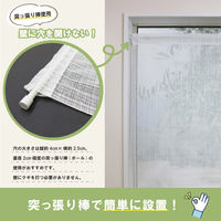 加栄レース レースカーテン 小窓 ランダムストライプ柄 70×90cm ホワイト 469407 1個（直送品）