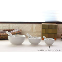 ネクスト 乳鉢セット S 40ml 磁器 日本製 487978 1個（直送品）