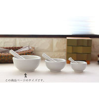 ネクスト 乳鉢セット L 250ml 磁器 日本製 487980 1個（直送品）