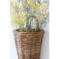 クレエ バスケット アラログ ウォールハンギングバスケット 492777 1個（直送品）