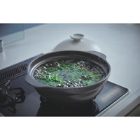 ミヤザキ食器 土鍋 8号 Karl IH対応 軽量土鍋 グレー 413000 1個（直送品）