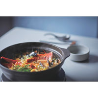 ミヤザキ食器 土鍋 8号 Karl IH対応 軽量土鍋 ベージュ 412999 1個（直送品）