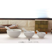 ネクスト 乳鉢セット M 110ml 磁器 日本製 487979 1個（直送品）