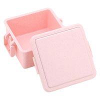 三好製作所 お弁当箱 GEL-COOL square S ジェラート 1段 220ml プレーンストロベリー 423643 1個（直送品）