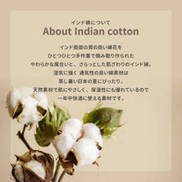 萩原敷物 クッション インド綿背当てクッション アルト 45×45cm グリーン 407650 1個（直送品）