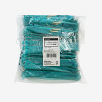 インスタントハブラシ バイオマス 個包装 100本 10106 1袋 山陽物産