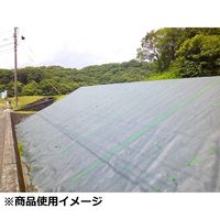 藤原産業 セフティー3 高密度不織布防草シート 無緑(むえん) 1m×20m 66854 1個（直送品）