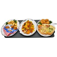 石崎電機製作所 フードウォーマー SEW-F250G 1ケ（直送品）