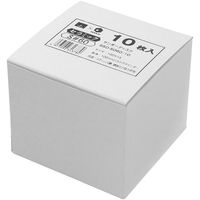 藤原産業 SK11 サンダーディスクS #60 100mm 10枚組 SSDーS060/10 1組（直送品）