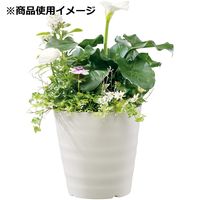 大和プラスチック ヤマト フレグラーポット 18型 3L アイボリー 72252 1セット(13個)（直送品）