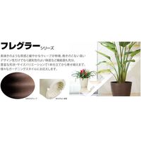 大和プラスチック ヤマト フレグラースクエアポット 28型 ダークブラウン 72679 1セット(6個)（直送品）