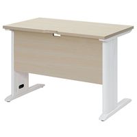 RFSLD-1060NA2-WL（直送品）