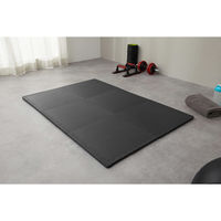 【軒先渡し】アイリスオーヤマ 高硬度ジョイントトレーニングマット 幅450×奥行450×高さ19.5mm 1セット(24枚入)（直送品）