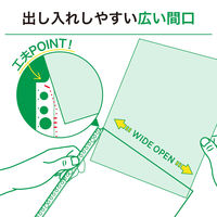 リヒトラブ リクエスト 広い間口で出し入れしやすいクリヤーポケット ファイル 交換用 A4 30穴 G49230 1セット(1組×10)（直送品）