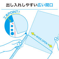 リヒトラブ リクエスト 広い間口で出し入れしやすいクリヤーポケット ファイル 交換用 A4 30穴 G49240 1セット(1組×10)（直送品）