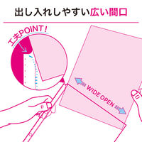 リヒトラブ リクエスト 広い間口で出し入れしやすいクリヤーポケット ファイル 交換用 A4 2穴 G49290 1組（直送品）