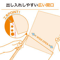 リヒトラブ リクエスト 広い間口で出し入れしやすいクリヤーポケット ファイル 交換用 A4 30穴 G49270 1組（直送品）