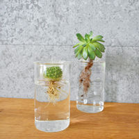 SOW 花瓶 BULB VASE 水栽培ガラスベース ショート 水耕栽培 485690 1個（直送品）