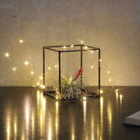 SOW フレーム ジョセフアイアン ディスプレイワイヤーフレーム キューブ Lサイズ 486060 1個（直送品）