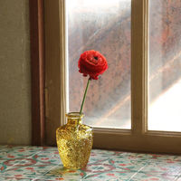 SOW 花瓶 プチフラワーベース アンバー シス 490952 1個（直送品）