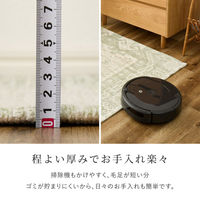 萩原敷物 玄関マット 45×75 シェニールマット ジャガード織 室内 ダーシャ 492656 1個（直送品）