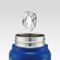 スケーター 水筒 500ml スクリューハンドルマグボトル ドラゴンボールZ 493353 1個（直送品）