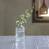 SOW 花瓶 プチフラワーベース クリア ドゥ 490941 1個（直送品）