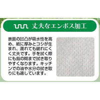 尚美堂 フジピュアペーパータオル 小判 96410 1箱 (50袋)（直送品）