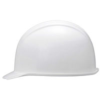 アーテック ヘルメット KGBoー1 35719 1個（直送品）