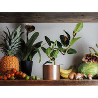 ホワイエ 植木鉢 AMシリンダーポット 3号 ゴールド 410492 1個（直送品）