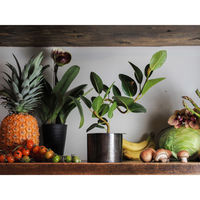 ホワイエ 植木鉢 AMシリンダーポット 3号 ブラック 410493 1個（直送品）