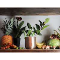 ホワイエ 植木鉢 AM3.5ベース アルミ 直径13×高さ13cm ゴールド 410508 1個（直送品）