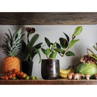 ホワイエ 植木鉢 AM3.5ベース アルミ 直径13×高さ13cm ブラック 410509 1個（直送品）