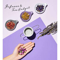 Tokyo Tea Trading インフューザーホルダー 10cm ベーシック 陶器 パープル 423611 1個（直送品）