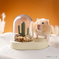 ルークラン 給餌器 小動物 ミオファン カクタスフィーダー ハムスター 鳥 ペット イエロー 441445 1個（直送品）