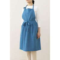 デュプリュス エプロン atelier Nuuit 綿麻ウエストギャザーエプロン ブルー 464628 1個（直送品）