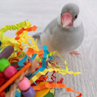 ルークラン おもちゃ 鳥 ループ バディ ハッチデイハット 486810 1個（直送品）