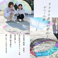 小川 雨傘 長傘 LINEDROPS クリア バイカラー アンブレラ 60cm 手開き式 イエロー 489431 1個（直送品）