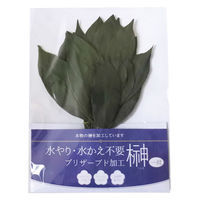 スープ 榊 神具 プリザーブド榊 ミニ榊 一対 高さ20cm 491246 1個（直送品）