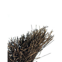 日本クリンテック BP庭ほうき 赤シダ 長柄 4534374182155 1個（直送品）