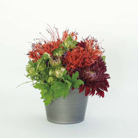 ホワイエ プランター MC円錐ポット 直径12×高さ9.5cm アイアン ブラック 404061 1個（直送品）