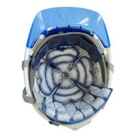 ミズケイ アイスヘルメットインナー3点セット 8130930 1セット(3点入)（直送品）