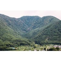 メッセージ米(ありがとう)　サキホコレ 令和七年度産 2合平 AKOMEYA TOKYO/アコメヤ